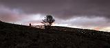 Slemish gate